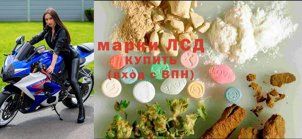 дмт Белокуриха