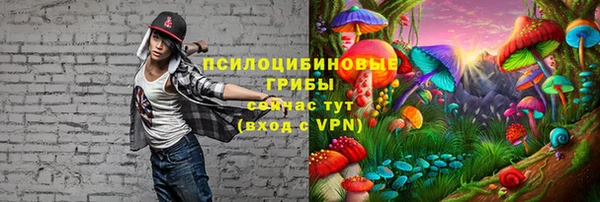 MDMA Premium VHQ Беломорск