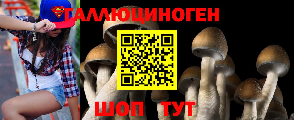 Обь  Галлюциногенные грибы Magic Shrooms  Вход с VPN 