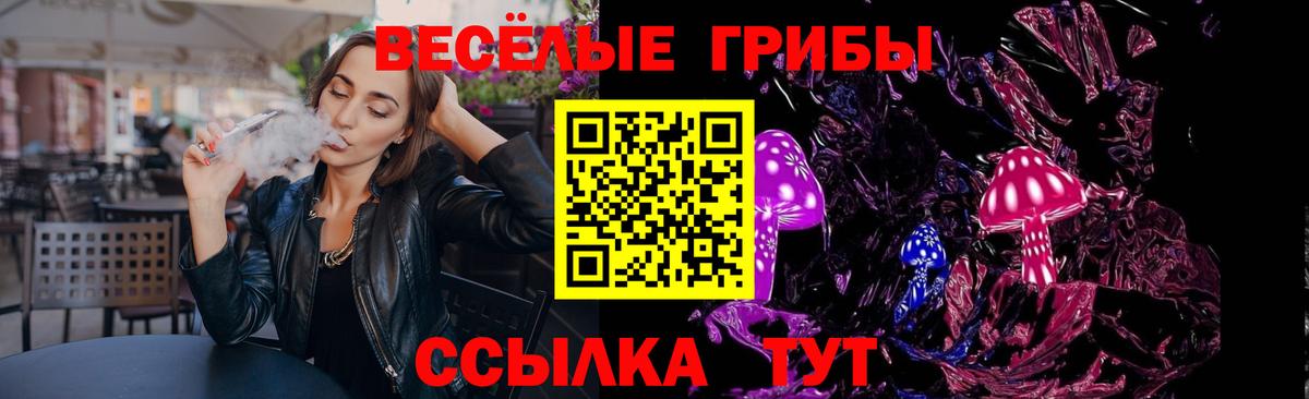 ГАШ Обь